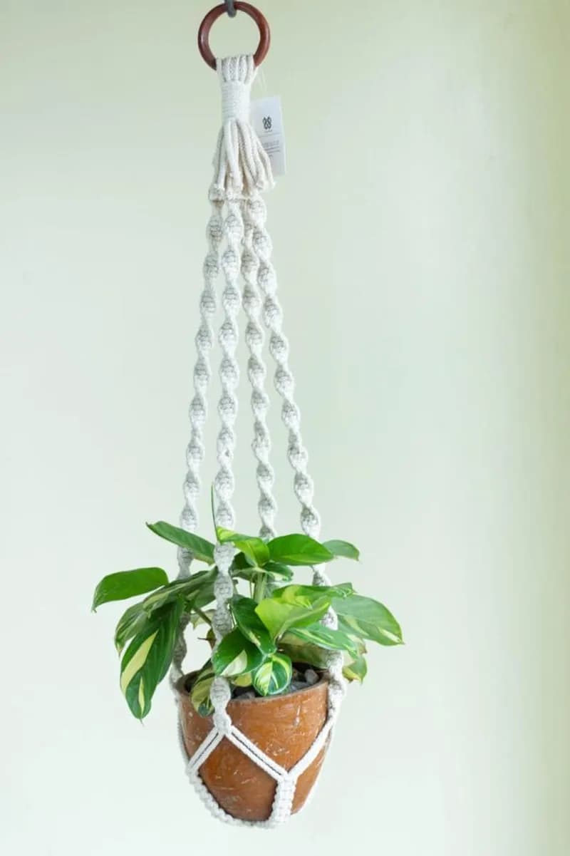 Macramé Heavy Plant Hanger