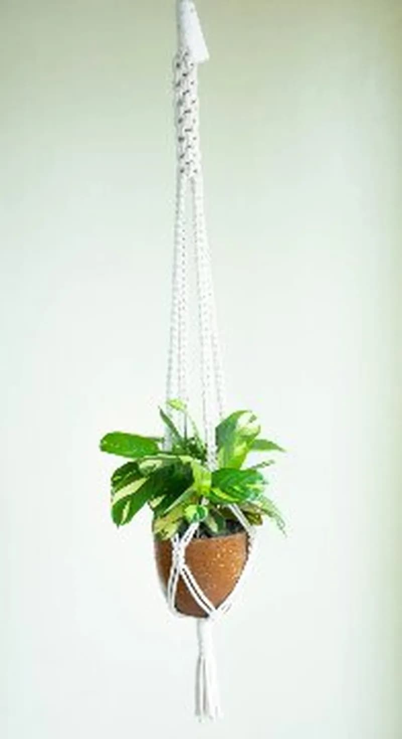 Botanical pot hanging detail