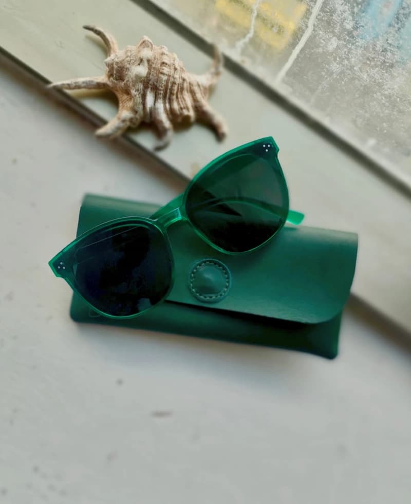 Jua Leather Sunnies Case